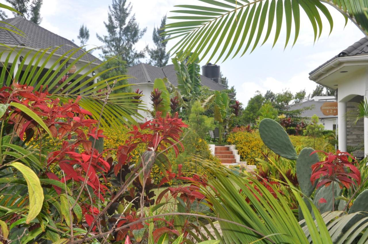Home Bliss Hotel- Fort Portal Uganda エクステリア 写真